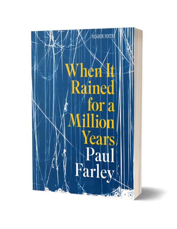 When It Rained for a Million Years by Paul Farley