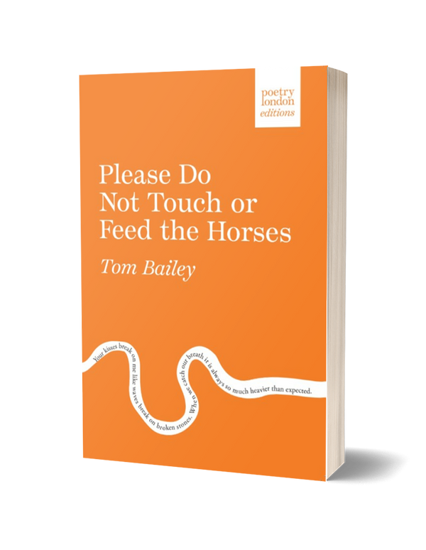 Please Do Not Touch or Feed the Horses by Tom Bailey