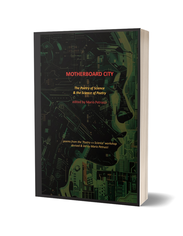 Motherboard City ed. by Mario Petrucci