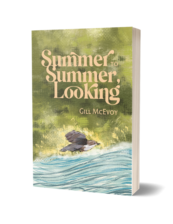 Summer to Summer, Looking by Gill McEvoy