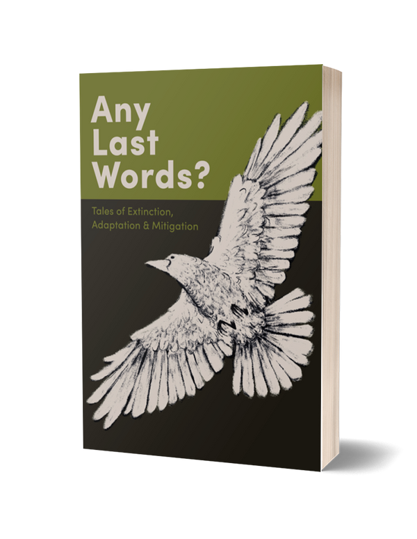 Any Last Words? ed. by Connor Enright