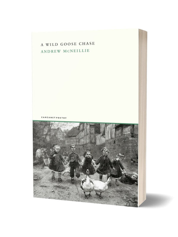 A Wild Goose Chase by Andrew McNeillie
