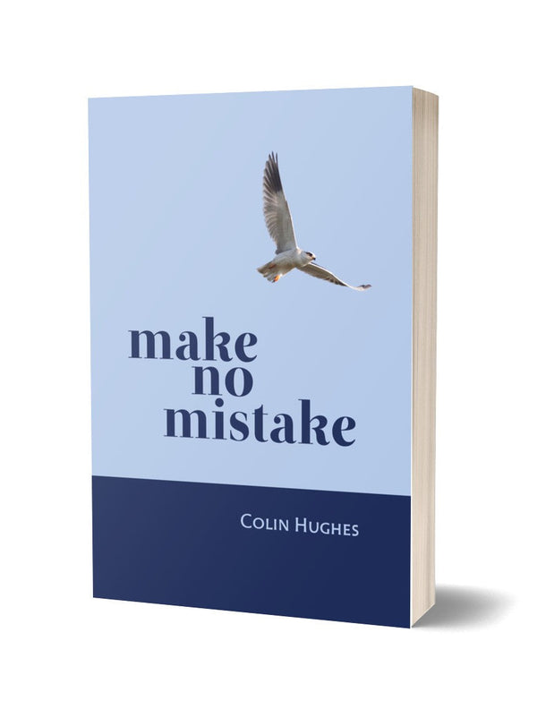 Make No Mistake by Colin Hughes