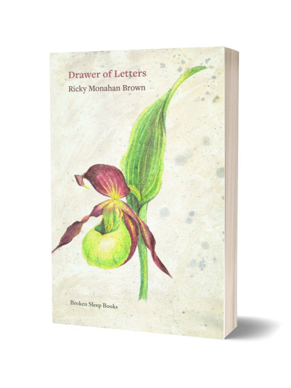 Drawer of Letters by Ricky Monahan Brown