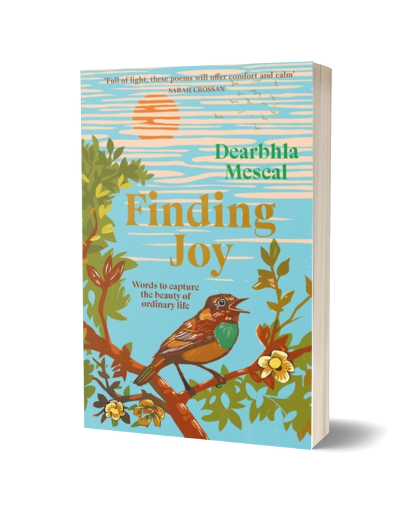 Finding Joy by Dearbhla Mescal