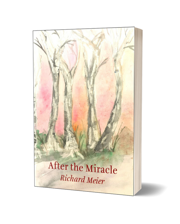 After the Miracle by Richard Meier