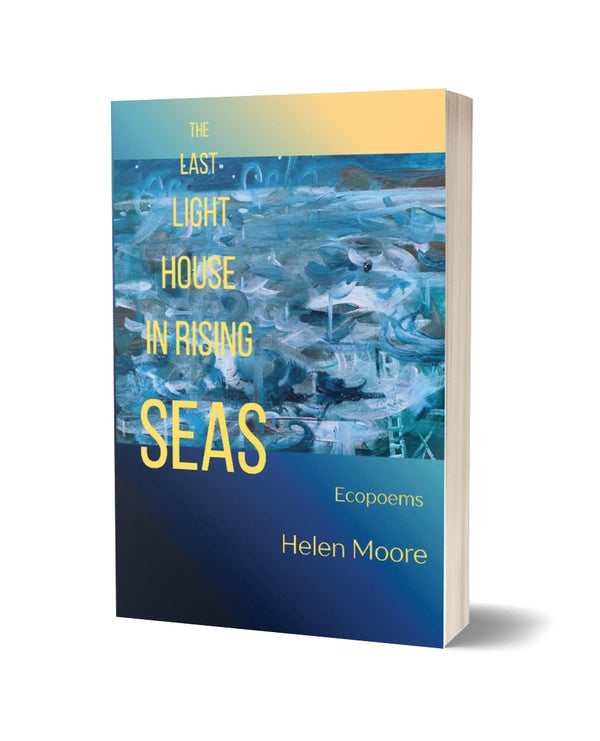 The Last Lighthouse in Rising Seas by Helen Moore