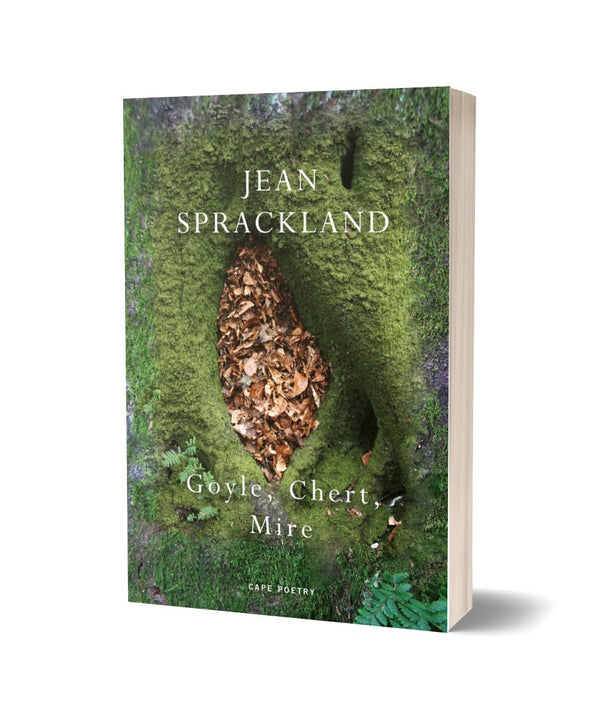 Goyle, Chert, Mire by Jean Sprackland