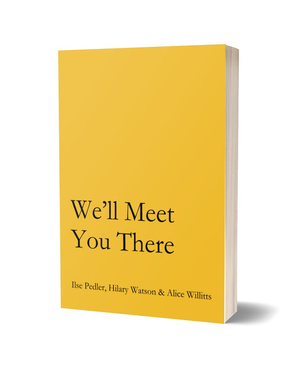 We'll Meet You There by Ilse Pedler, Hilary Watson & Alice Willitts