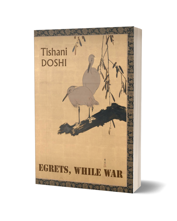 Egrets, While War by Tishani Doshi