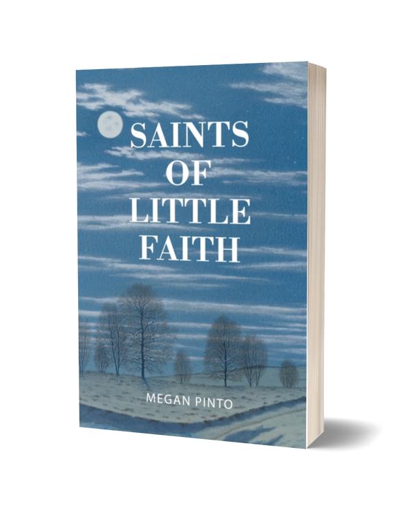 Saints Of Little Faith by Megan Pinto