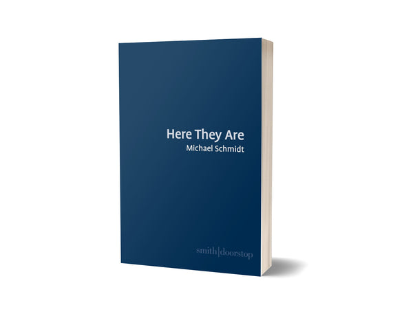 Here They Are by Michael Schmidt