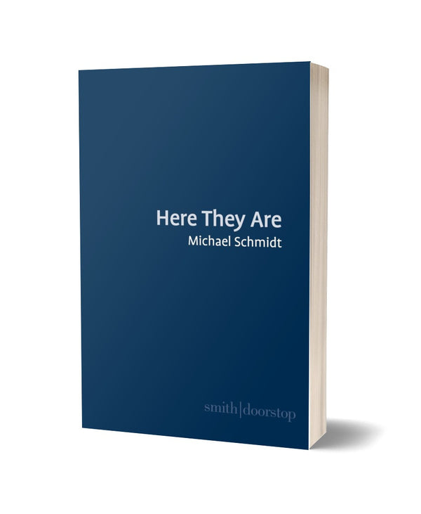 Here They Are by Michael Schmidt
