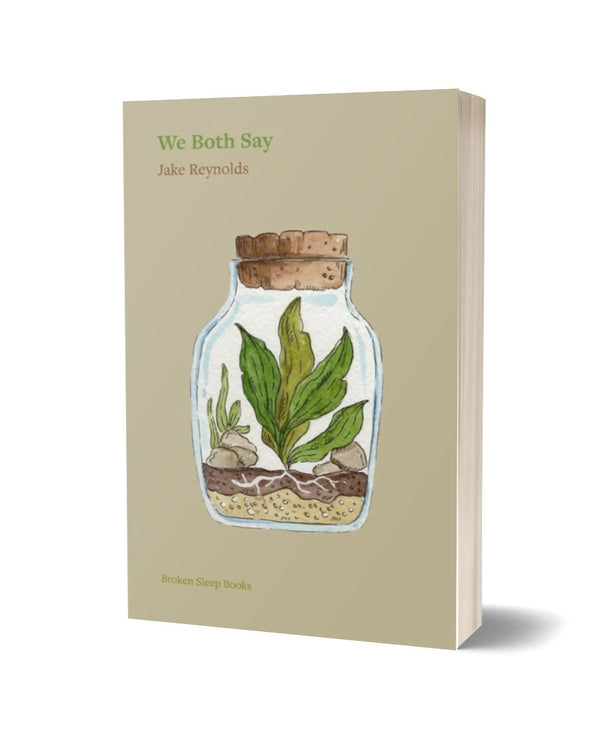 We Both Say by Jake Reynolds <br><b>POETRY BOOK SOCIETY PAMPHLET CHOICE <br>AUTUMN 2026</b>