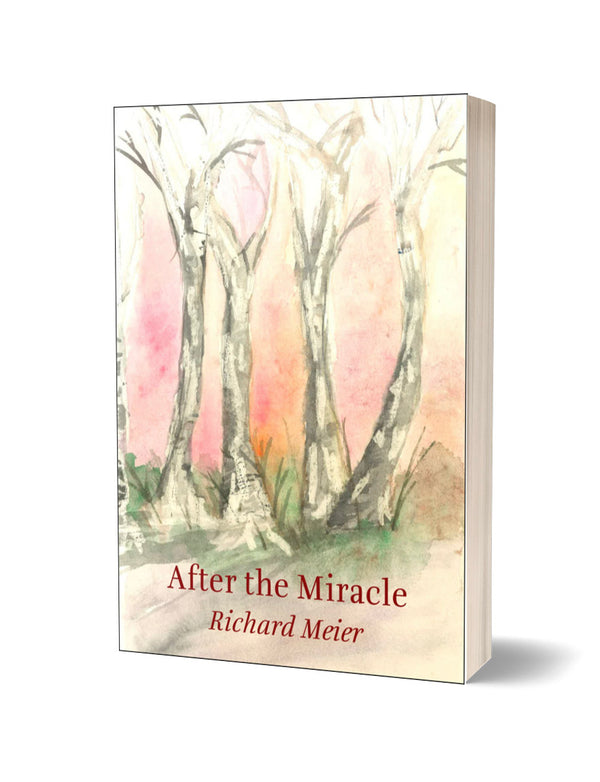 After the Miracle by Richard Meier