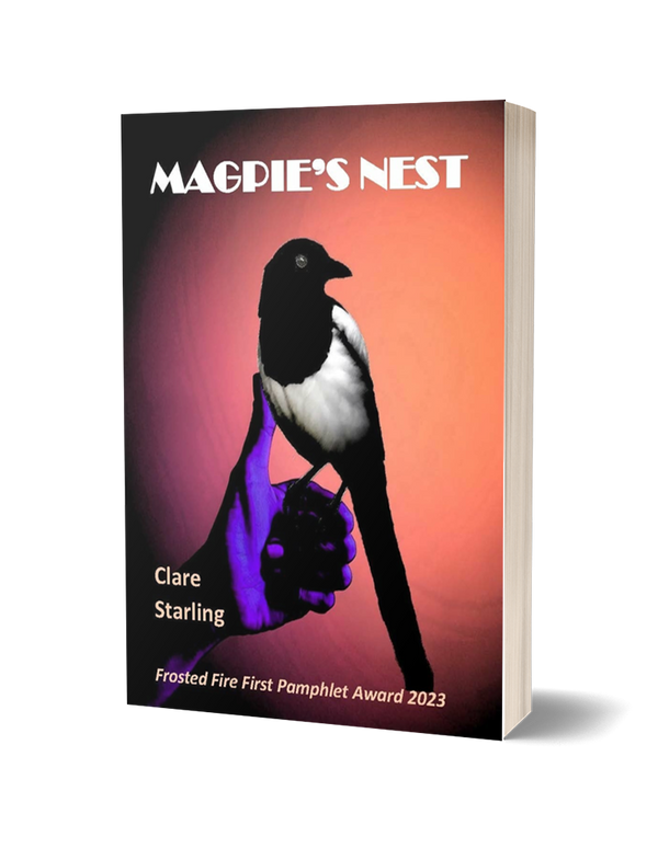 Magpie's Nest by Clare Starling