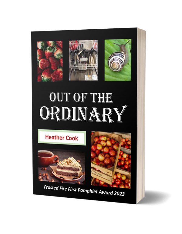 Out of the Ordinary by Heather Cook
