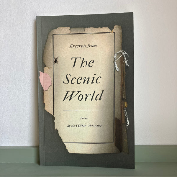 Excerpts from The Scenic World by Matthew Gregory
