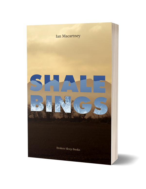 Shale Bings by Ian Macartney