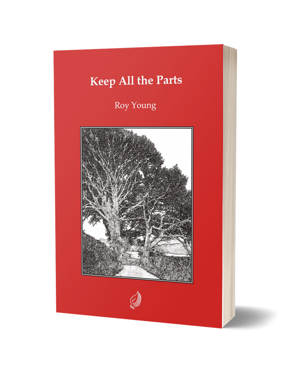 Keep All The Parts by Roy Young