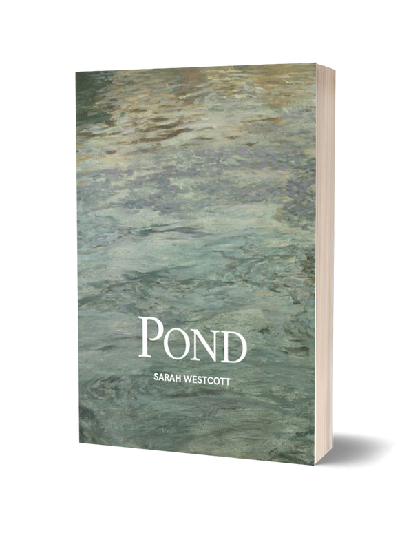 Pond by Sarah Westcott