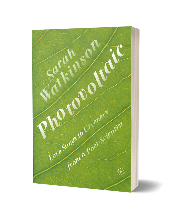 Photovoltaic by Sarah Watkinson PRE-ORDER