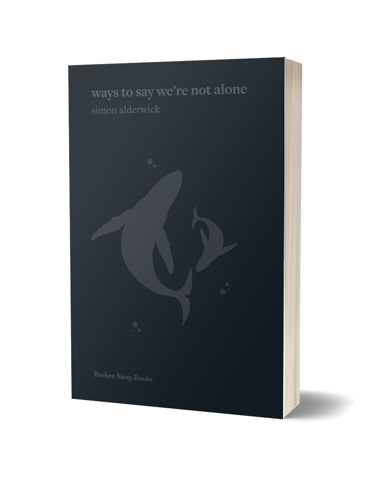 Ways To Say We're Not Alone by Simon Alderwick The Poetry Book Society