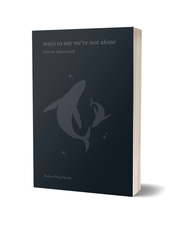 Ways To Say We're Not Alone by Simon Alderwick