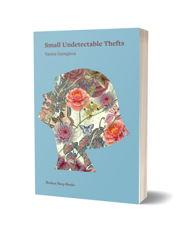 Small Undetactable Thefts by Yanita Georgieva