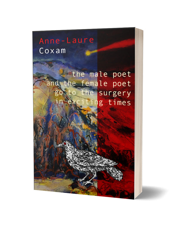 the male poet and the female poet go to the surgery in exciting times by Anne-Laure Coxam