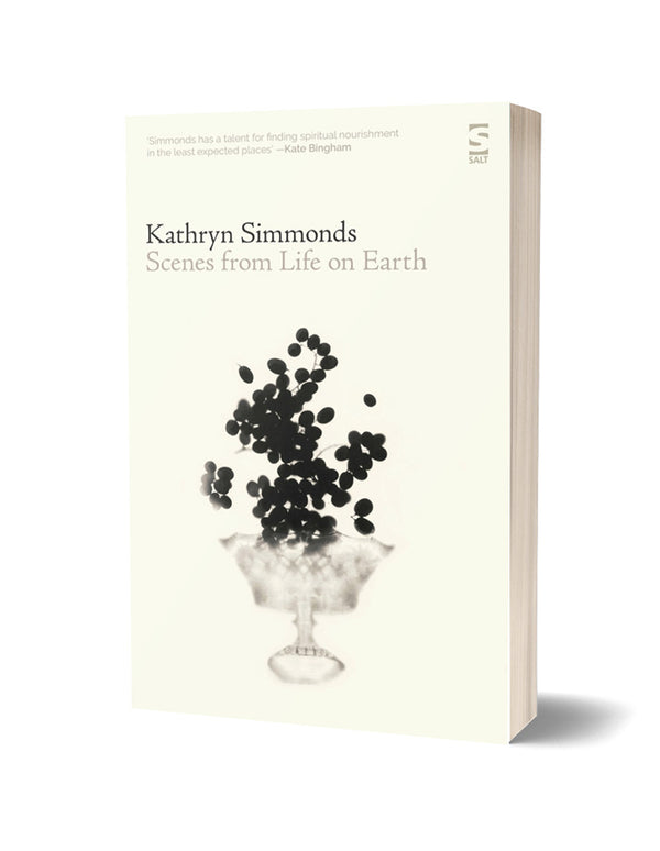 Scenes from Life on Earth by Kathryn Simmonds