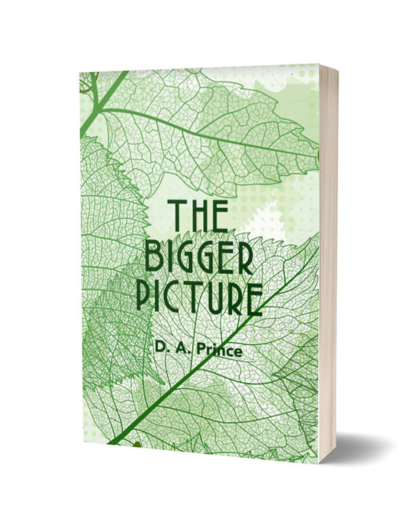 The Bigger Picture by D. A. Prince PRE-ORDER