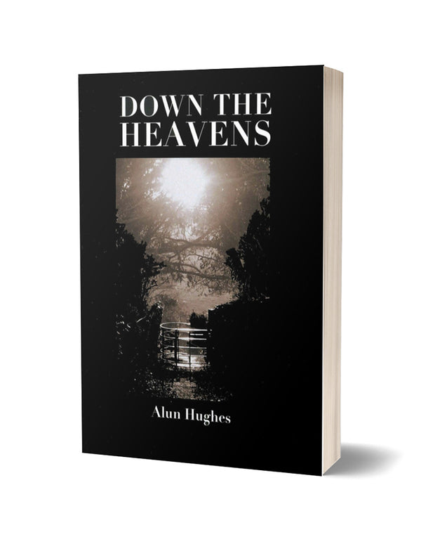 Down the Heavens by Alun Hughes
