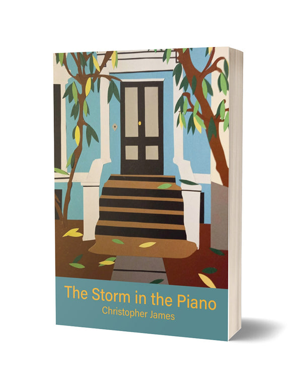 The Storm in the Piano by Christopher James
