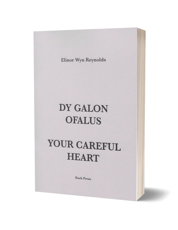 Dy Galon Ofalus/Your Careful Heart by Elinor Wyn Reynolds