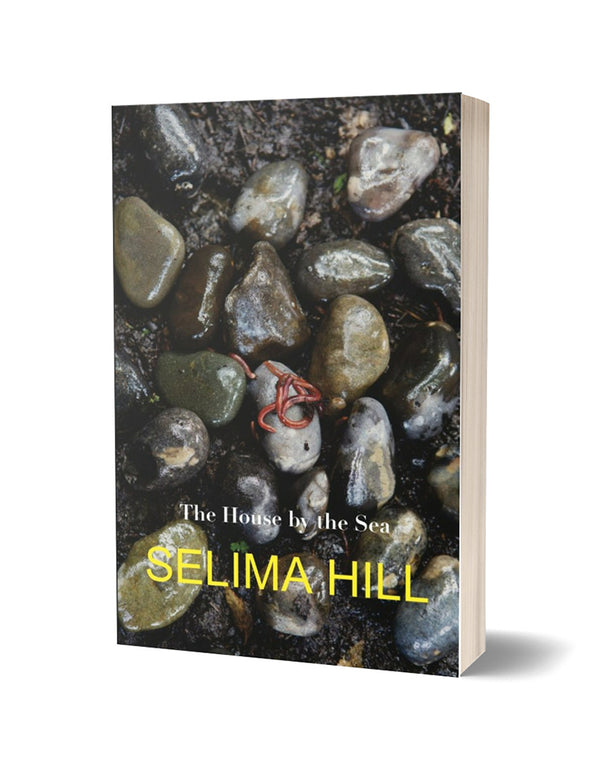 The House by the Sea by Selima Hill