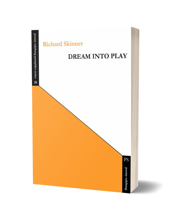 Dream into Play by Richard Skinner