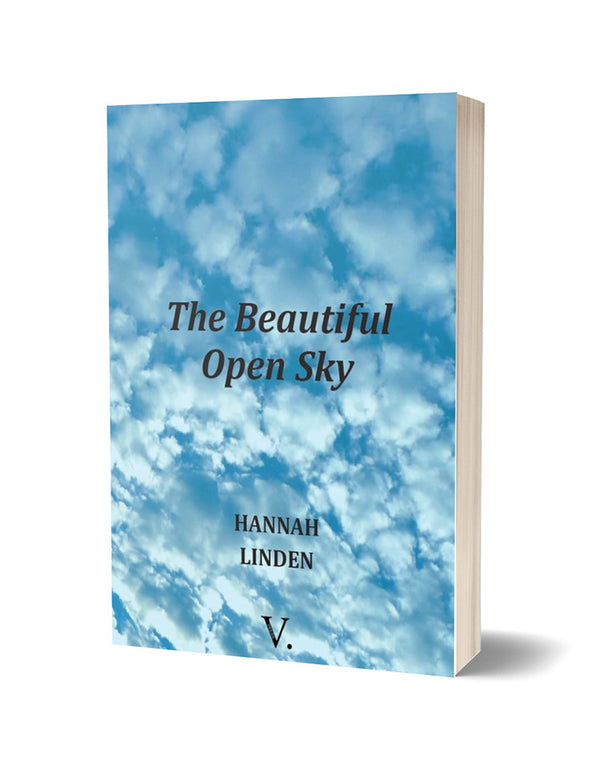 The Beautiful Open Sky by Hannah Linden