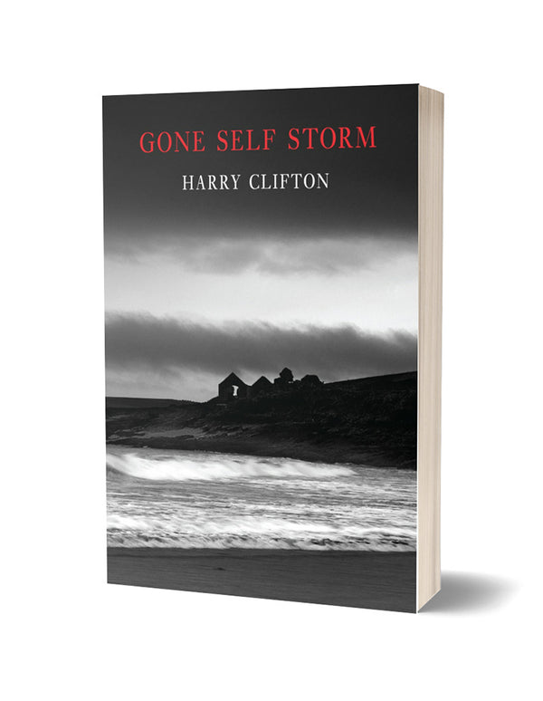 Gone Self Storm by Harry Clifton