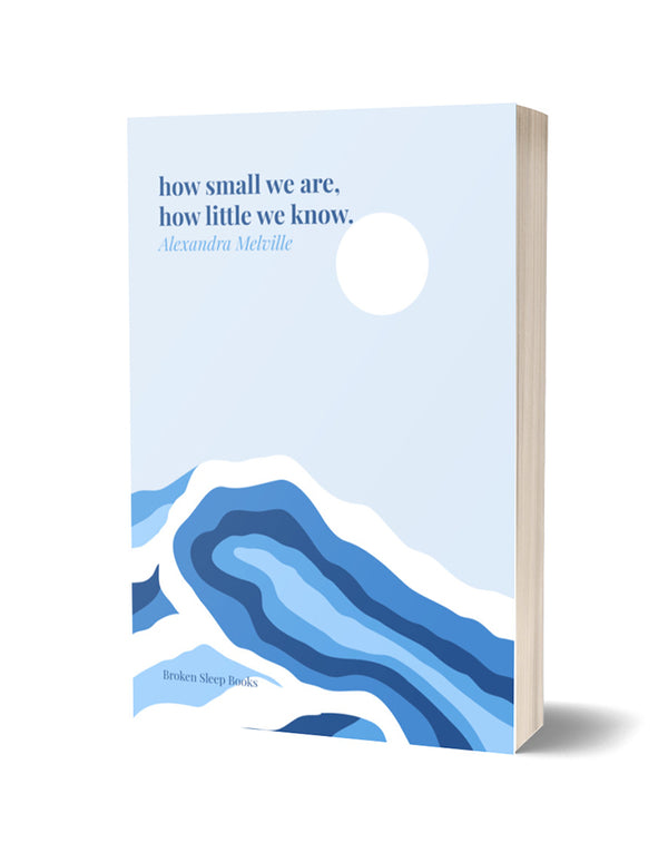 How Small We Are, How Little We Know by Alexandra Melville