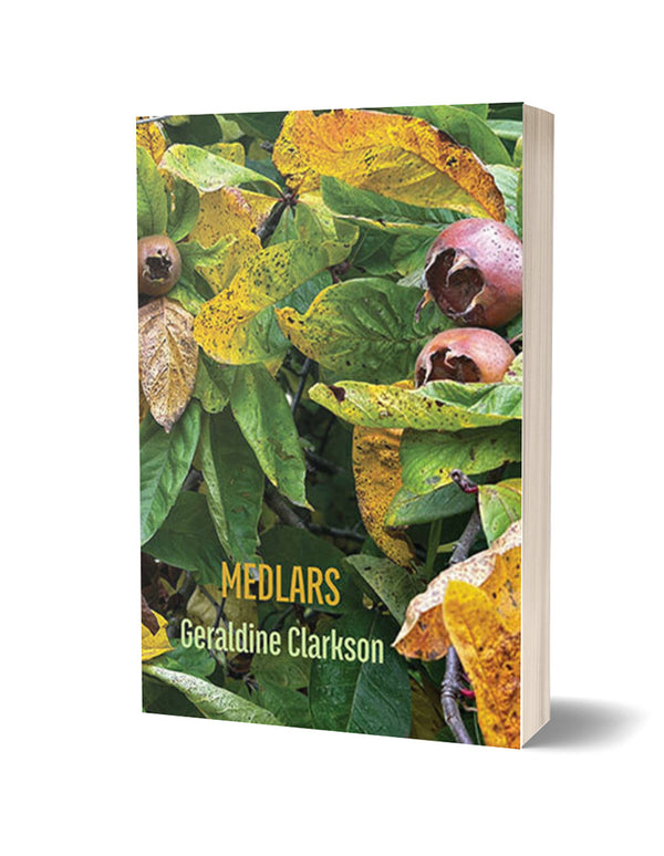 Medlars by Geraldine Clarkson