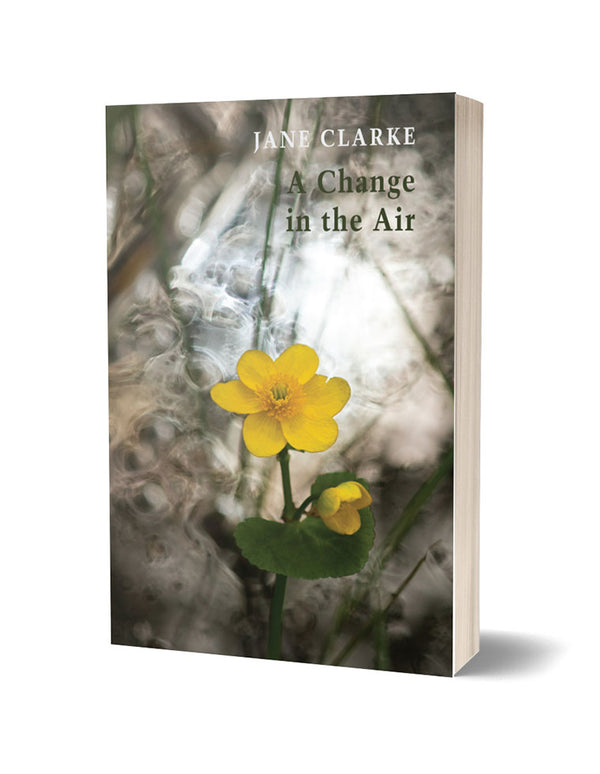 A Change In The Air by Jane Clarke