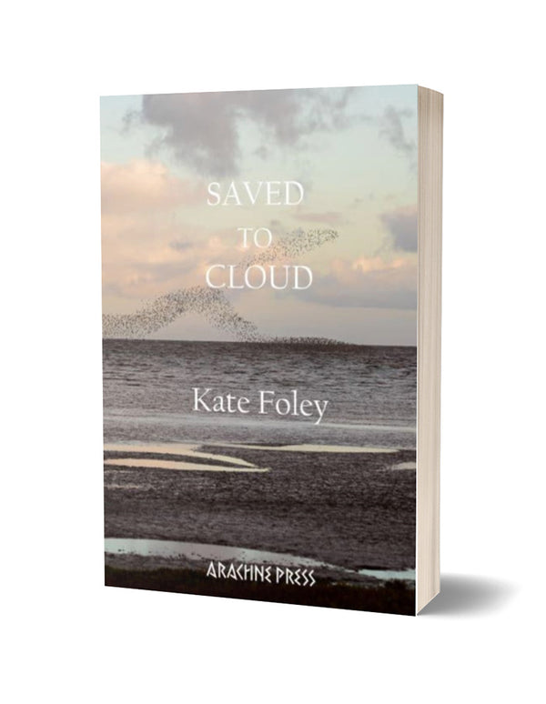 Saved to Cloud by Kate Foley