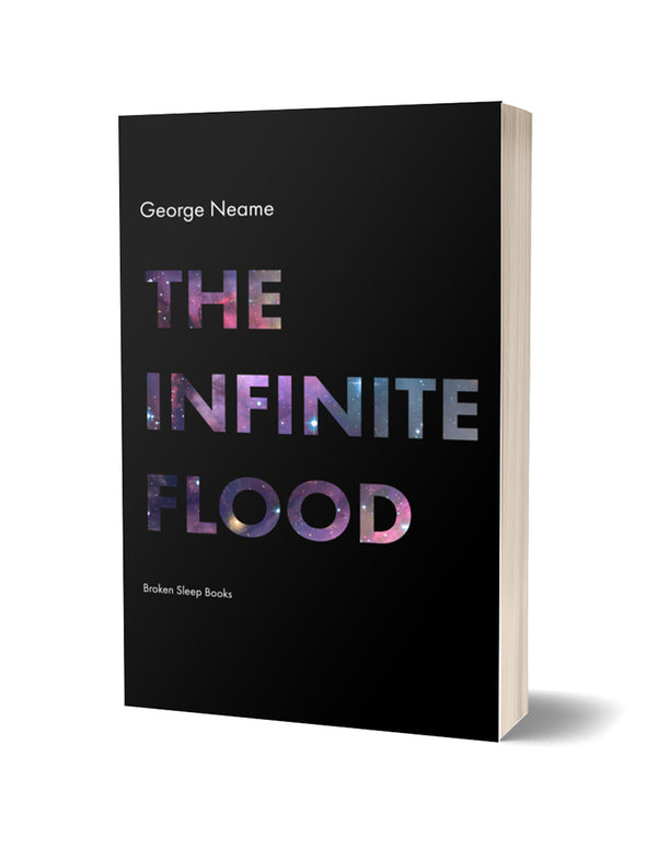 The Infinite Flood by George Neame