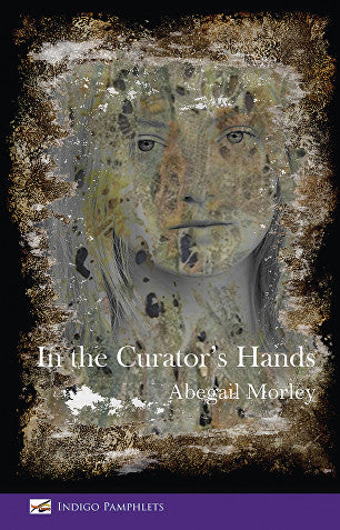 In the Curator's Hands by Abegail Morley