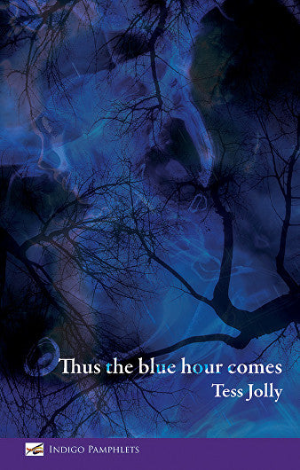 Thus the blue hour comes by Tess Jolly