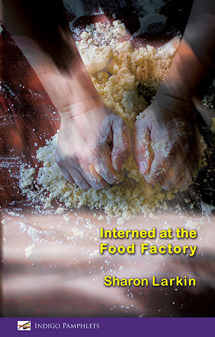 Interned at the Food Factory by Sharon Larkin
