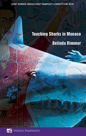 Touching Sharks in Monaco by Belinda Rimmer