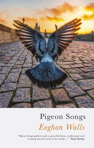 Pigeon Songs by Eoghan Walls