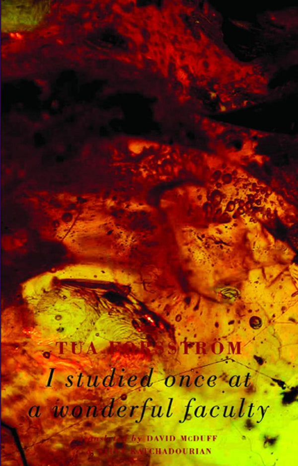 I Studied Once at a Wonderful Faculty by Tua Forsström, translated by Stina Katchadourian and David McDuff